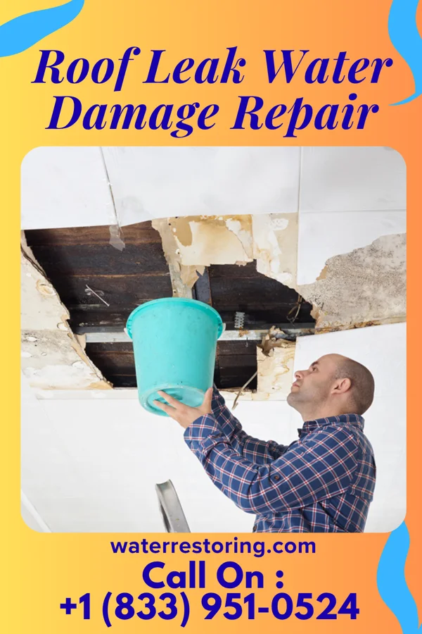 Roof Leak Water Damage Repair in Lawler, IA