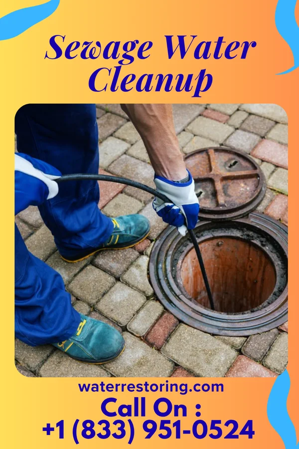 Sewage Water Cleanup in Lawler, IA